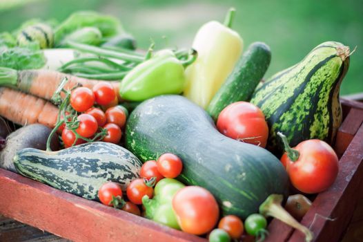 organic vegetables harvest. eco farming concept. High quality photo