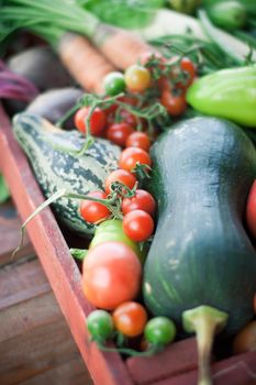 organic vegetables harvest. eco farming concept. High quality photo