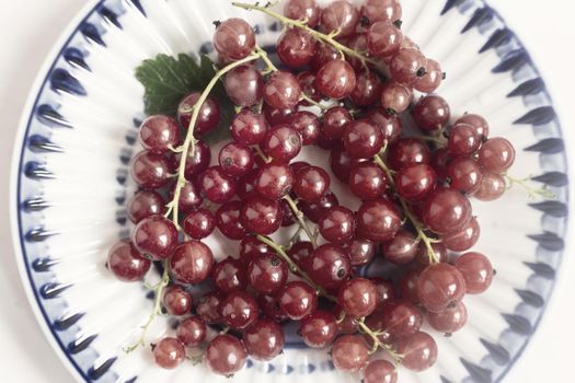 On a saucer with a blue border lie ripe red currant berries. Presented in close-up on a white background, top view, copy space