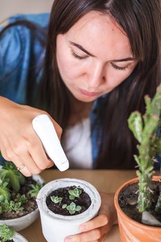 woman is taking care of mini succulents in concrete pots. High quality photo