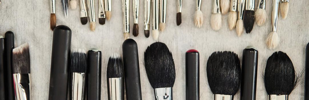 Black Makeup Brushes with Natural Pile. Set of Professional brushes for the makeup artist.