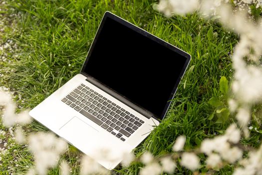 Working at home garden, laptop surrounded with green leafy potted plants, front view of the screen.