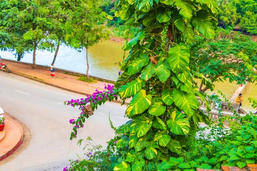 Natural riverview Park and jungle panorama of the landscape Mekong river and Luang Prabang city in Laos world tour in Southeast Asia.