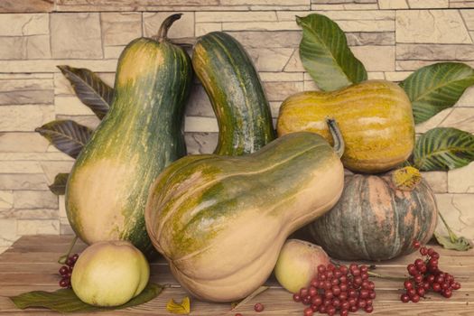 On the table among the autumn leaves are ripe pumpkins of various varieties, apples, viburnum berries. Front view, close-up.