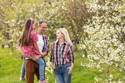 family walk the cherry trees.