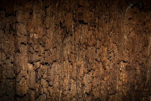 Texture of old wood with cracks. Old, cracked wood background, high resolution