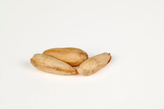 Closeup view of three wild papershell almonds 'kaymak' on a white background