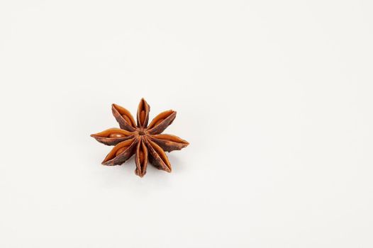 Closeup (macro) shot of single star anise on a white background