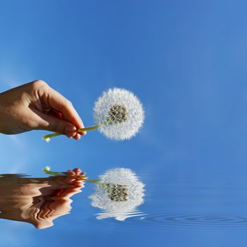 Beautiful dreamy spring nature background with dandelion