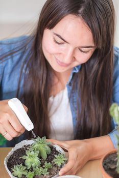 woman is taking care of mini succulents in concrete pots. High quality photo