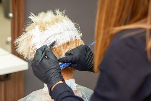Hairdresser dyes hair of young woman in white color in hairdress salon.