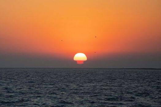 Spectacular bright orange sunset with distortion over the sea, making the lower half of the sun appear smaller and bright red. Three birds fly overhead the rare atmospheric phenomenon.