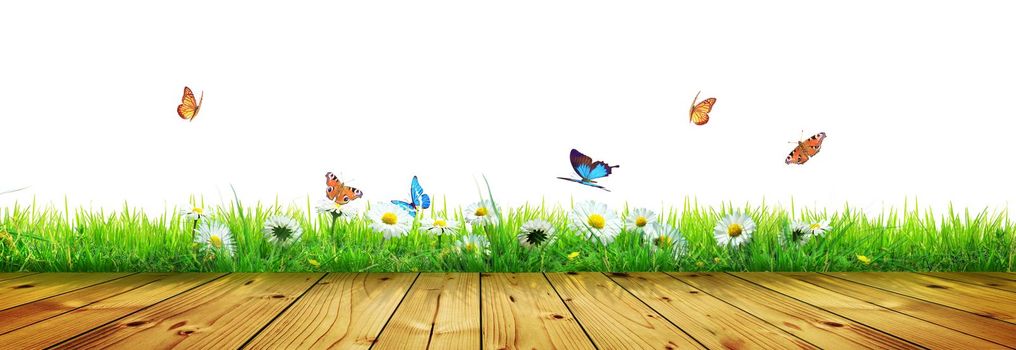 Flying butterfly in spring morning. Panoramic view.