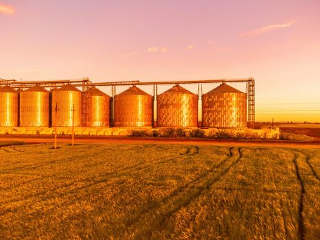 Grain elevator. Metal grain elevator in agricultural zone. Agriculture storage for harvest. Grain silos on green nature background. Exterior of agricultural factory