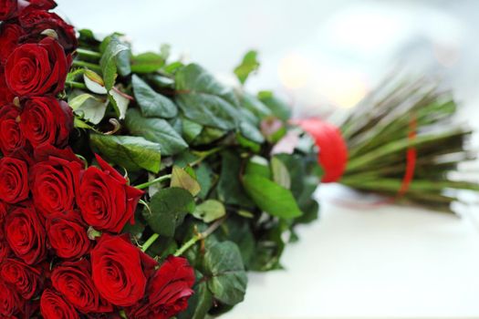 Big Red Roses Bouquet over white