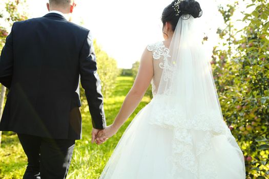 Back view of bride in white dress and groom in suit holding each others hands outdoors