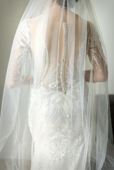 Back of white bride in white wedding dress with veil standing in the room. Back view