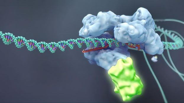 DNA chain surrounded and attacked by the virus. 3d illustration