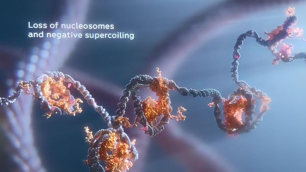 Slow motion.Good for medicine, treatment purpose. DNA repair damage of the DNA molecules. 3D illustration