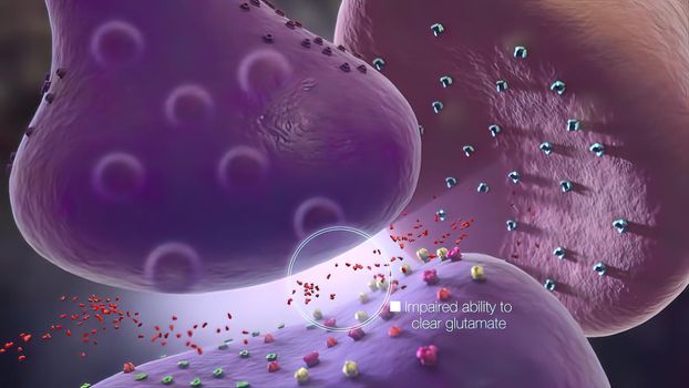 Glial cells of the nervous system release transmitters to release neuronal and synaptic activities.. 3D illustration