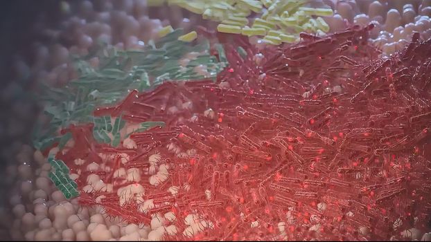 Gout flora is a complex community of intestinal microbiota or gastrointestinal microbiota. 3D illustration