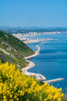 San Bartolo regional park Marche region - broom trees and transparent green sea water.