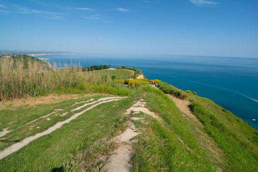 San Bartolo regional park Marche region - broom trees and transparent green sea water.