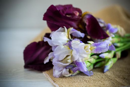 bouquet of beautiful blooming iris flowers on a light wooden background