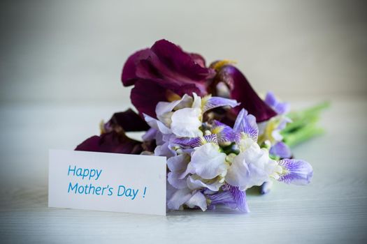 bouquet of beautiful blooming iris flowers on a light wooden background