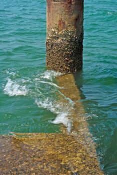 Barnacles on surface corrosion steel pole at the sea