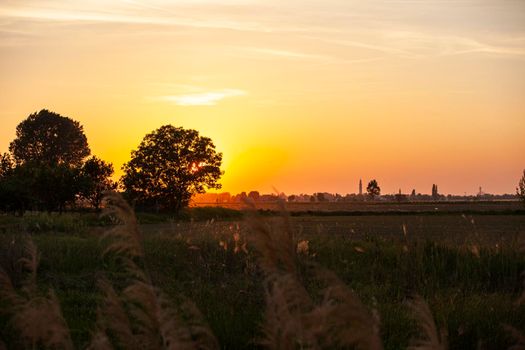 Golden sunset countryside panorama in a summer day in Italy