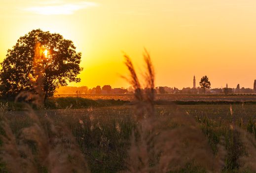 Golden sunset countryside panorama in a summer day in Italy