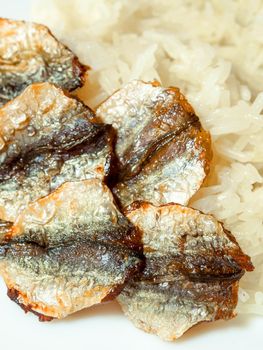 Close up food, Sticky rice and fried sun-dried fish, take home street food