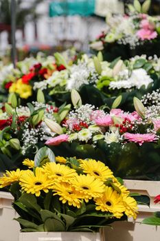 Flowers from the flower shop at the market in Lille