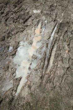 Mountain bike traces in the wet mud