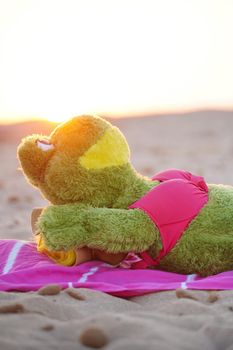 Beautiful young girl relaxing on the beach. High quality photo