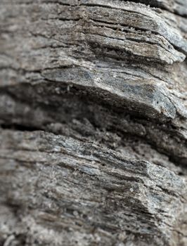 Texture of stone surface at the rocky mountain