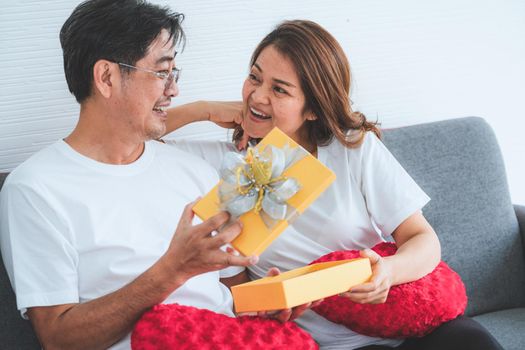 Happy Asian senior couple having good time at home. Old people retirement and healthy citizens elderly concept.