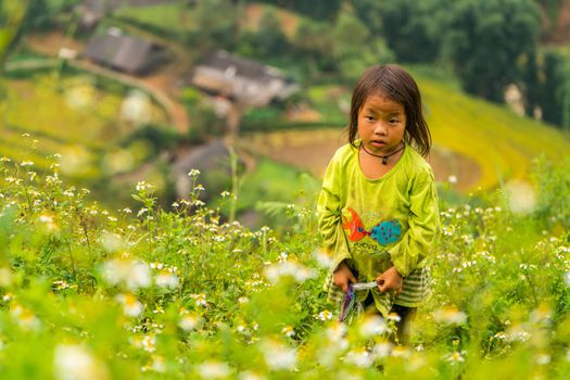 LAOCAI, VIETNAM, SEP 15: H'mong ethnic minority children on September 15, 2016 in Laocai, Vietnam. H'mong is the 8th largest ethnic group in Vietnam.