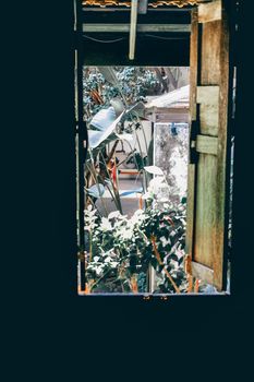 old vintage wooden window with green plant leaves in garden