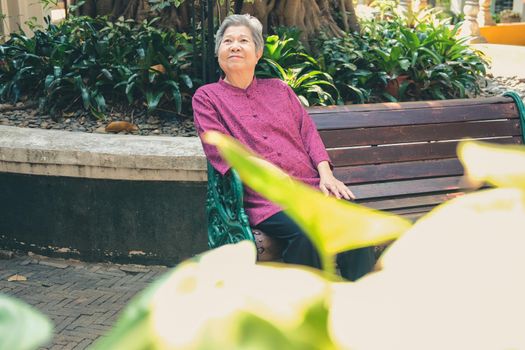 old elder woman resting in garden. asian elderly female relaxing in park. senior leisure lifestyle