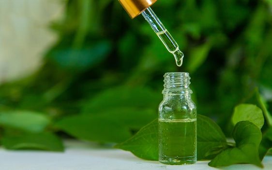 Essential oils of herbs and plants. Selective focus. Nature.