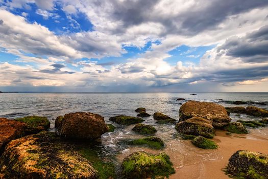 Beauty sea rocky coast with green moss on the stones.