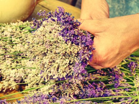 Dry aromatic lavender bunch. Bunches of medicinal herbs. Herbal medicine