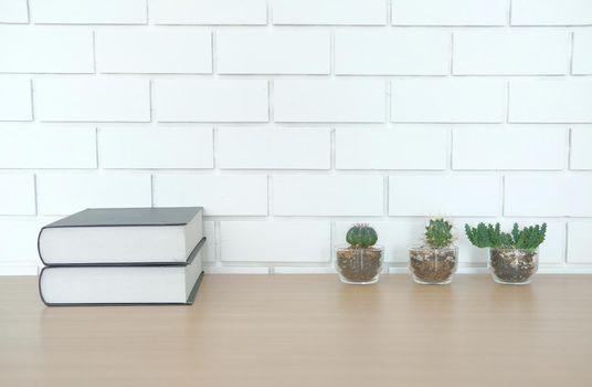 book on wooden desk table near white brick wall. office workplace top view. education concept. succulent cactus plant in pot
