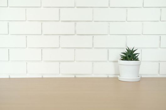succulent cactus plant in pot decorating on wooden desk table near white brick wall