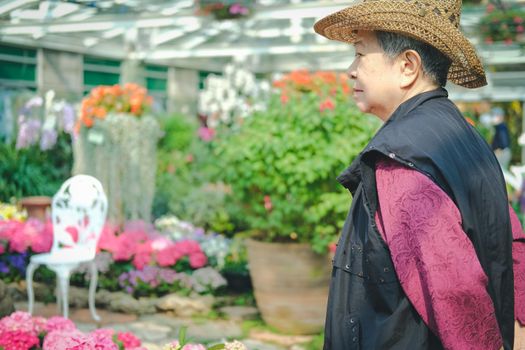 old elder woman resting in flower garden. asian elderly female relaxing in park. senior leisure lifestyle