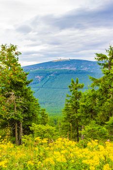 Landscape Panorama view on top of Brocken mountain peak in Harz mountains from Wurmberg Braunlage Goslar Lower Saxony Germany