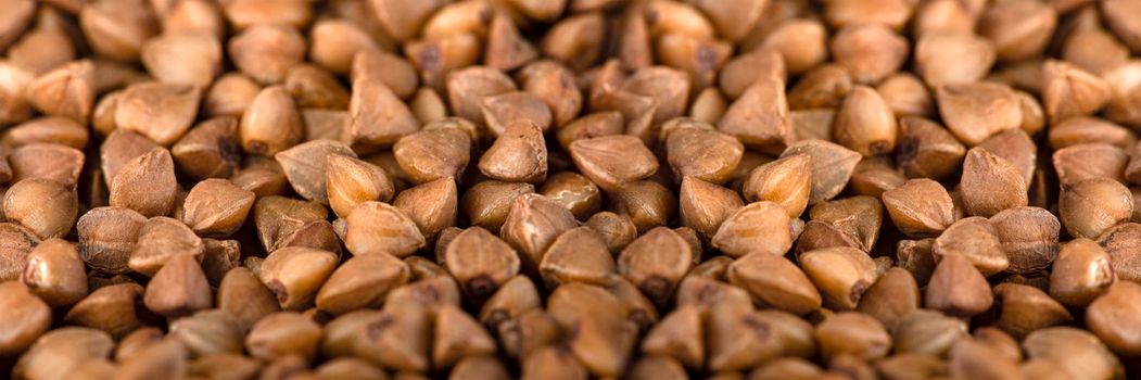 Texture of buckwheat. Background for dry buckwheat design. Large size for banner printing or packaging. Top view of evenly scattered buckwheat groats