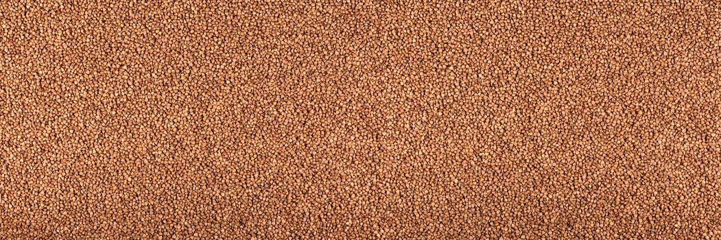 Texture of buckwheat. Background for dry buckwheat design. Large size for banner printing or packaging. Top view of evenly scattered buckwheat groats